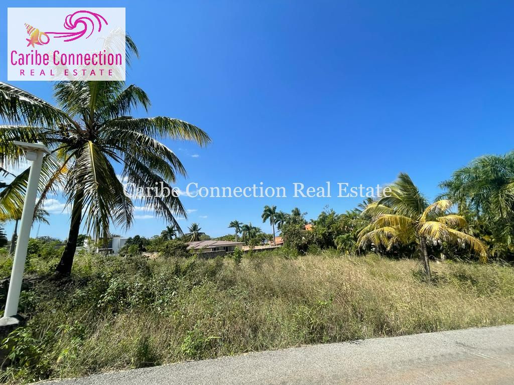Build Your Dream Home Overlooking The Ocean Caribe Connection Real Estate
