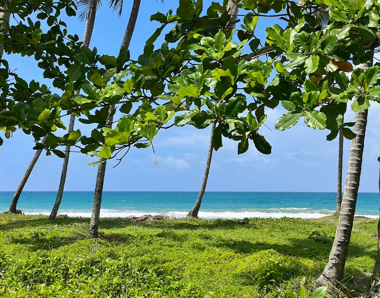 Dream Beachfront Lots for Sale in Las Canas